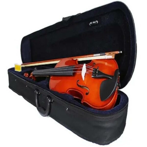 Buy Violin For Beginners australia