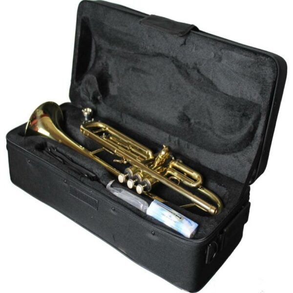 buy brass trumpet for beginners