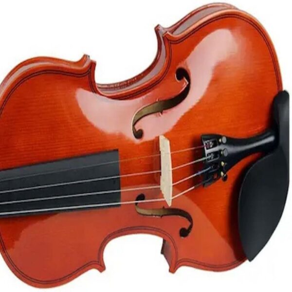 buy starter violin kit australia