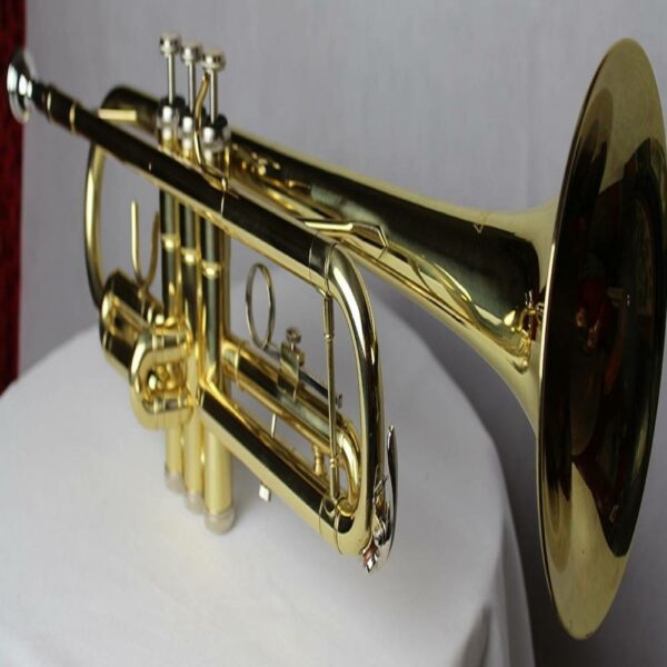buy trumpet for beginner