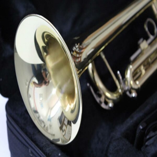 buy trumpet set for beginner